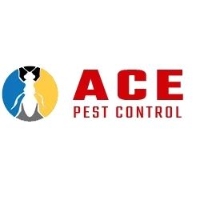  Best Pest Control Services in Perth WA