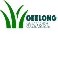 Geelong Artificial Grass