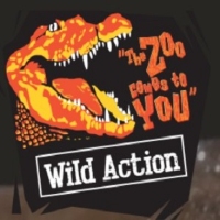 Wild Action Productions