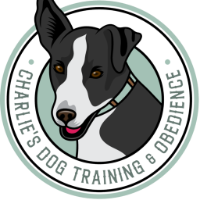 Dog Training