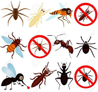  Emergency Pest Control Adelaide in Adelaide SA