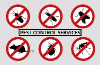 Organic Pest Control Brisbane