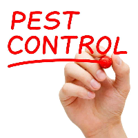 Mosquito Pest Control Perth