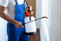 Residential Pest Control Brisbane