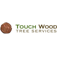  Touch Wood Trees Pty Ltd in Helensvale QLD