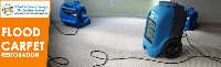  Water Damage Carpet Drying Sydney in Sydney NSW