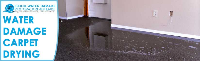 Water Damage Carpet Drying Adelaide