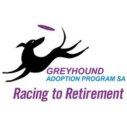 Greyhound Adoption Program - SA
