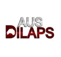 Australian Dilapidations