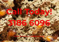  Termite and Pest Control North Brisbane in Newstead QLD