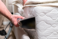 Mattress Cleaning Adelaide