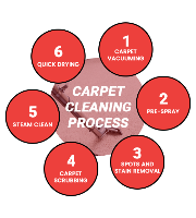 Carpet Cleaning Collaroy
