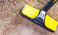  Carpet Cleaning Wilston in Wilston QLD
