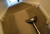 Carpet Cleaning Palmerston