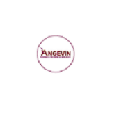  Angevin Roofing Services in Bexhill-on-Sea England