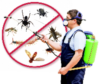 Pest Control Newborough