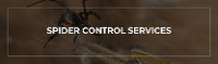 Spider Control Perth