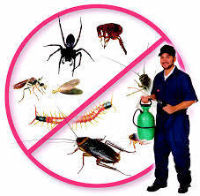 Pest Control Cooranbong