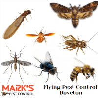 Marks Pest Control Doveton