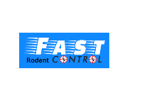 Rodent Control Brisbane