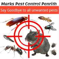  Pest Control Penrith in Penrith NSW