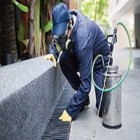  Pest Control Bayswater in Bayswater VIC