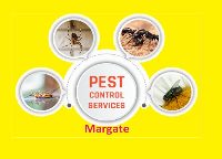 Pest Control Margate