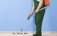  Pest Control Canning Vale in Canning Vale WA