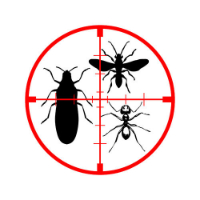 Pest Control Lidcombe