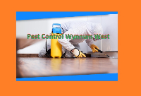 Pest Control Wynnum West
