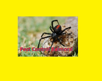 Pest Control Balmoral