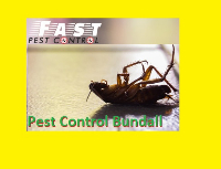 Pest Control Bundall