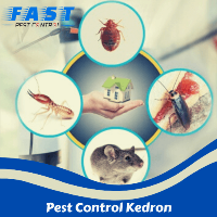  Pest Control Kedron in Kedron QLD