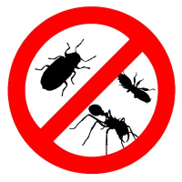 Pest Control Expert in Melbourne