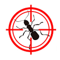 Pest Control Wheelers Hill