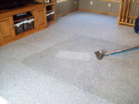  Professional Carpet Cleaning Brisbane in Brisbane QLD