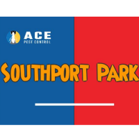  Pest Control Southport in Southport QLD