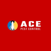 Pest Control Manly