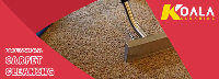 Carpet Cleaning Burton