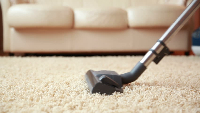 Carpet Cleanings Footscray