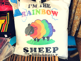Rainbow Sheep Cushion