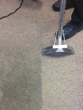 Professional Carpet Cleaning Gold Coast
