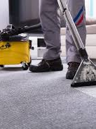 Carpet Cleaning North Bondi