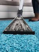 Carpet Cleaning Bentleigh 
