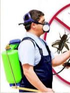  Marks Pest Control Geelong in Geelong VIC