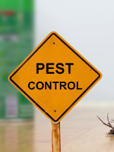  Pest Control Ipswich in Ipswich QLD