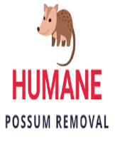 Humane Possum Removal